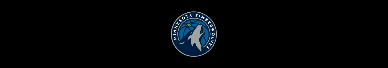 Minnesota Timberwolves May Be Sold