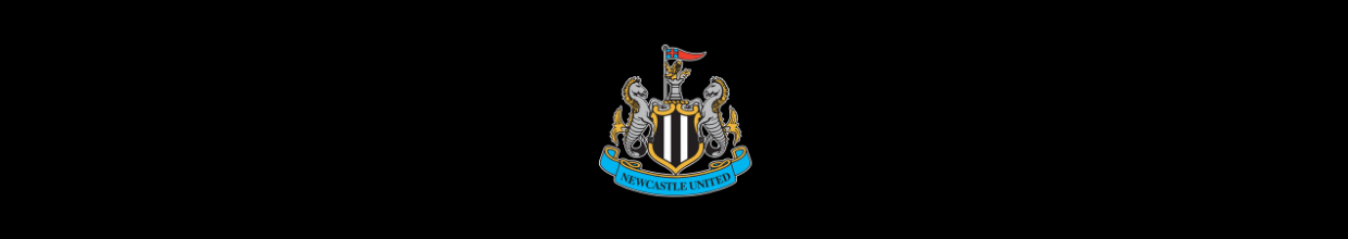 Unclarity Occurred With the Sale of the Newcastle Club